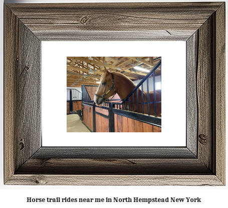 horse trail rides near me in North Hempstead, New York